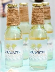 人工海水培养基浓缩液-海水藻专用