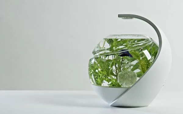 AVO自动清洁鱼缸 特殊LED光照抑制藻类繁殖