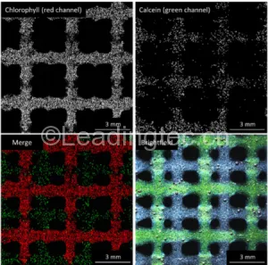 20150325215243_39467