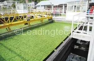 蓝藻处理工序-4气升