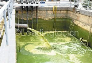 蓝藻处理工序-5气浮