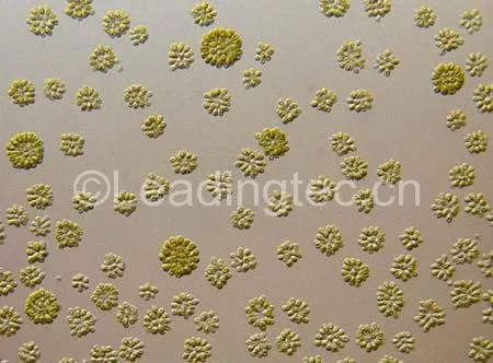 球等鞭金藻为等鞭金藻科、等鞭藻属,咸水种、低温性藻类植物。