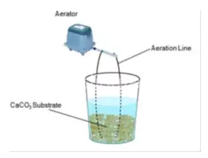图1:用于提升硝化细菌的生物反应器