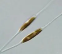 小新月菱形藻