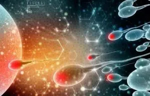 螺旋藻提高精子活性 螺旋藻提高精子活性