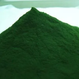 螺旋藻粉 Spirulina powder