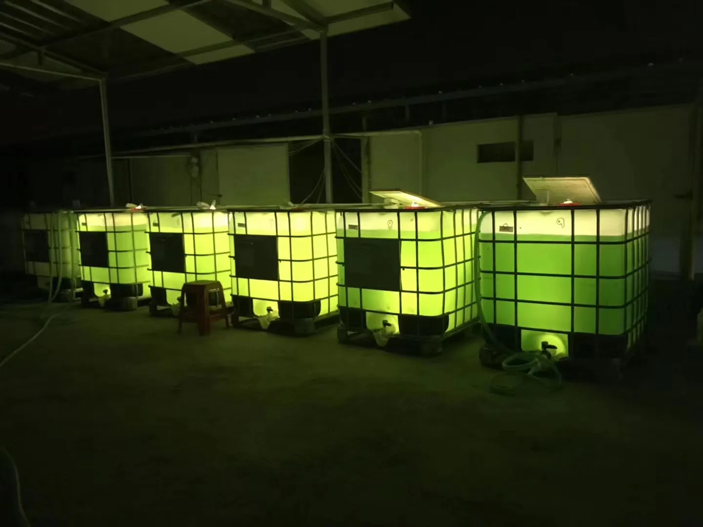 集装桶吨桶藻类培养器