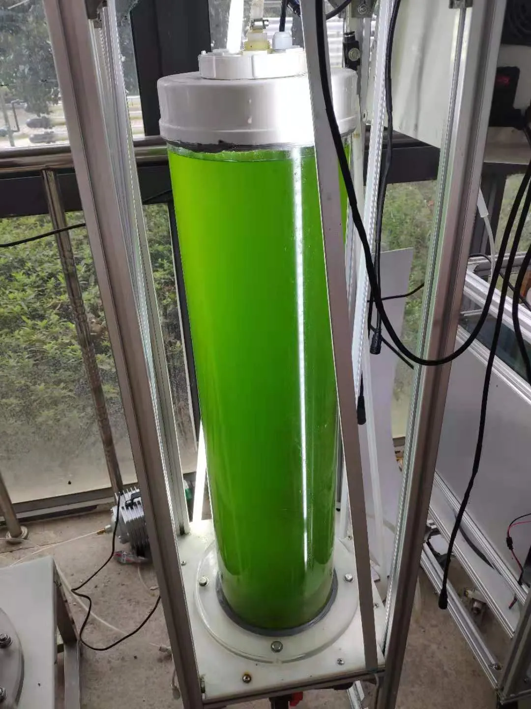 水产养殖扩培用小球藻和培养基套装产品 - 图片 8