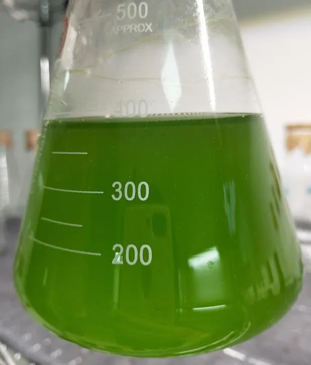 水产养殖扩培用小球藻和培养基套装产品