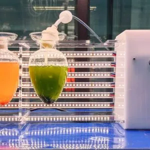 实验室新手反应器