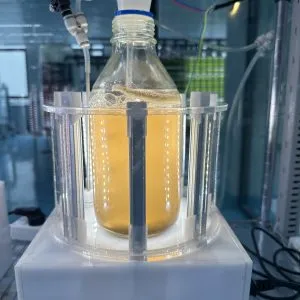 光语实验室迷你反应器