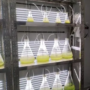 实验室专用!光语生物光照培养架GY-23PYJ-04