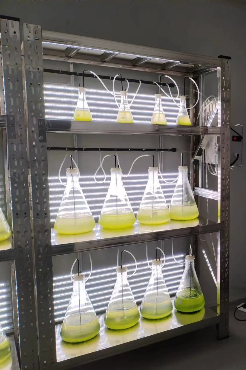 实验室专用!光语生物光照培养架GY-23PYJ-04