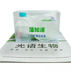 光语生物学生养藻实验盒