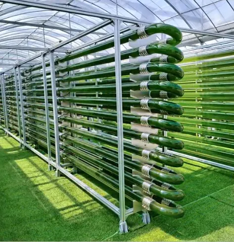 光语管道式反应器