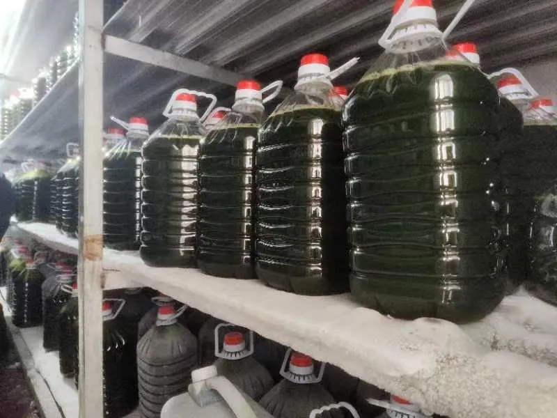 光语自养海水微拟球藻浓缩液