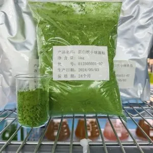 光语蛋白核小球藻